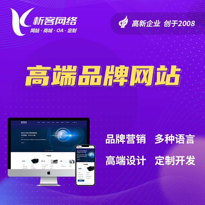 揭阳高端品牌网站